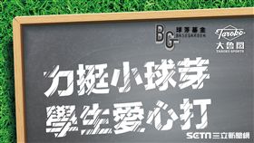 ▲大魯閣棒壘球打擊場推出「力挺小球芽，學生愛心打」活動。（圖／大魯閣提供）
