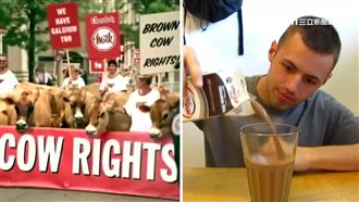 「棕牛媽賣巧克力奶」廣告害慘美國人