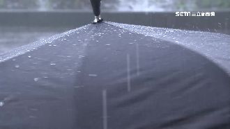 旋轉傘號稱難「開花、不溼身」