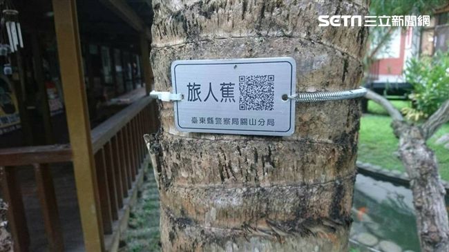 另類「路檢」！關山分局用手機查樹木
