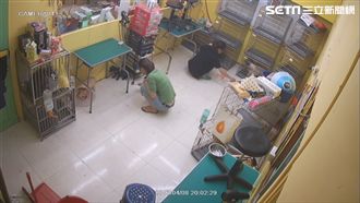 熱熔膠毆狗！寵物美容師笑：沒到痛點