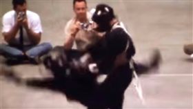 李小龍,Bruce Lee,MMA,真實,博鬥,數位修復　圖／翻攝自YouTube影片　https://goo.gl/kjQsxG