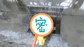 淹水,積水,大雨,彰化,水溝,清潔隊,議員,曹嘉豪,金紙桶
（圖／翻攝自曹嘉豪）
