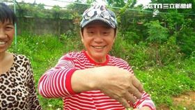 草地狀元、黃西田／草地狀元版權所有