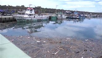 殘枝遍佈花蓮港　漁民憂船引擎受損