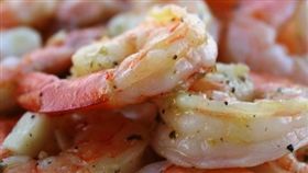 蝦子 圖／Pixabay