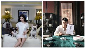 樊少皇,賈曉晨,圖／微博