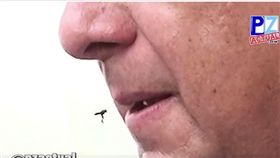 哥斯大黎加總統生吃黃蜂_PZ Actual臉書