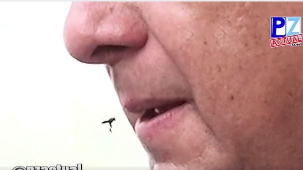 嘴邊飛來一隻黃蜂　總統當場吃了牠