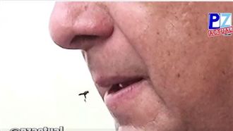 嘴邊飛來一隻黃蜂　總統當場吃了牠