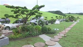 豬哥亮,墓園,墓地,基隆,擁恆文創園區,黑松,龍柏,擋煞