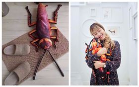 蟑螂擬真抱枕（合成圖／翻攝自爆廢公社）