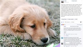 （圖／翻攝自YouTube） 