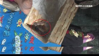 愛女染毒癮　心痛母報警大義滅親