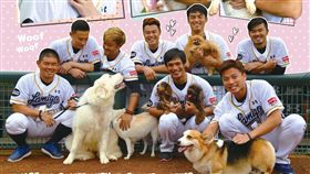 桃猿隊犬派球員。（圖／桃猿提供）