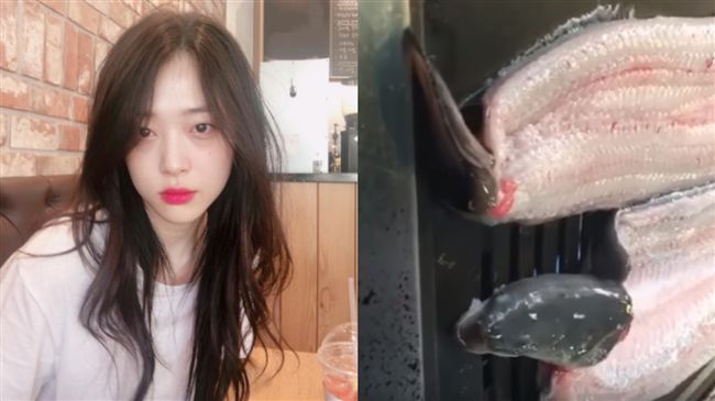 鰻魚張嘴掙扎！雪莉竟配音喊：救救我