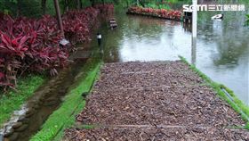 台中秋紅谷公園豪雨積水　園區暫停開放