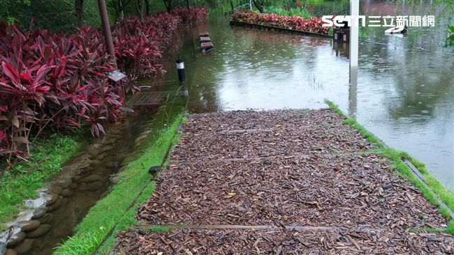 秋紅谷公園豪雨積水　園區暫停開放