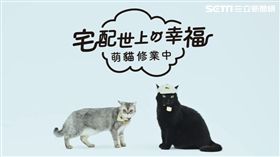 貓奴看招！「經濟宅急便」化身喵星人新玩具