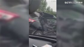 ▲胡椒聽完牛排唱歌。（圖／「Ｊ.Ａ.Ｍ狠愛演」授權使用）