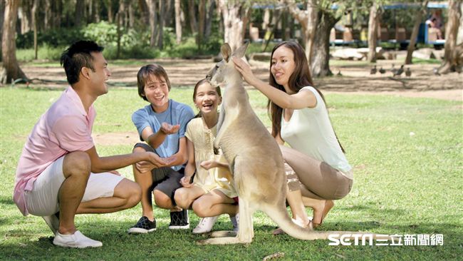 療癒動物大集合　與最萌動物相見歡