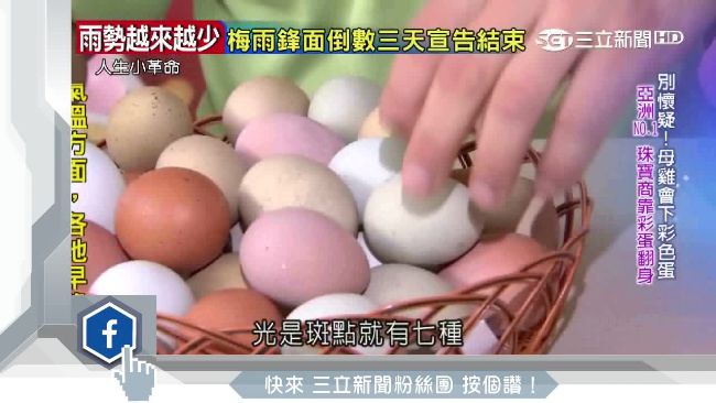 雞蛋變珠寶！「彩色蛋」竟能做化妝品
