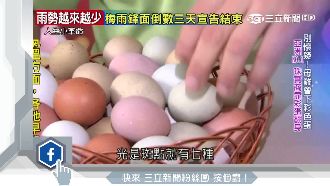 雞蛋變珠寶！「彩色蛋」竟能做化妝品
