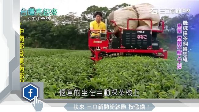 茶園小革命！他帶頭採茶機械化獲肯定