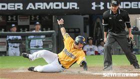 桃猿力拚封王，中信兄弟陳子豪（圖／記者林敬旻攝影）