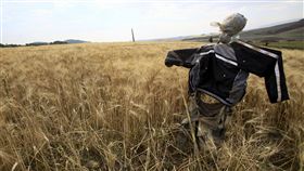 稻草人,農田,荒涼
圖／路透社／達志影像