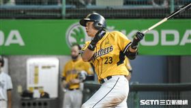 ▲中信兄弟指標打者彭政閔。（圖／記者林敬旻攝）