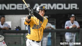 中信兄弟陳子豪　圖／記者林敬旻攝