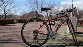 16:9
茨城縣,筑波,自行車,旅遊,櫻花隧道。（圖／記者簡佑庭攝）