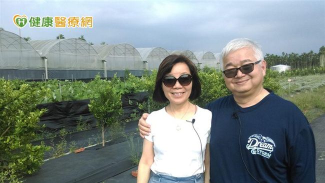 蟲吃剩再給人用　無毒中草藥園安心啦