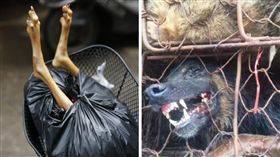 狗肉節,香肉,大陸.玉林,習俗,廣西
（圖／翻攝自微博）