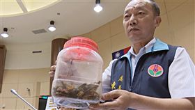 苗栗縣議員李聰祥帶荔枝椿象質詢  揚言放進縣長室(圖/中央社)