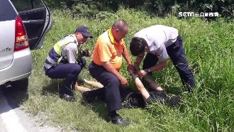 毒蟲恍神自撞路燈　拒捕還連搶兩車