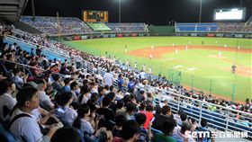 桃園棒球場球迷。（圖／記者王怡翔攝）