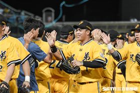 中信兄弟陳子豪　圖／記者林敬旻攝