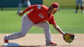 ▲林子偉在今年春訓。（圖／美聯社／達志影像）