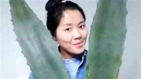 中國大陸,主播,直播,蘆薈,龍舌蘭,毒性,中毒,小張(微博 http://www.weibo.com/ttarticle/p/show?id=2309351002874122423720072080)