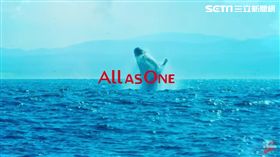 保育海洋！G-SHOCK鲸豚限量錶款限時開賣