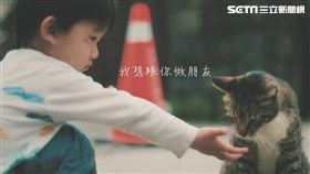 陸生拍「喵星人」紀錄片　看見台灣友善動物之美（圖／世新大學）