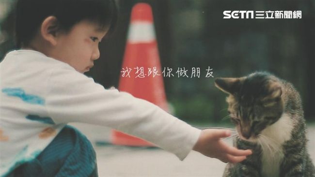 陸生拍喵星人　看見台灣友善動物之美