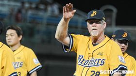 中信兄弟總教練史耐德。（資料照／記者林敬旻攝）