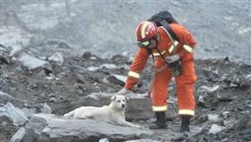 四川山崩土石淹沒村落　忠犬排回災區不願離開　圖／翻攝自微博