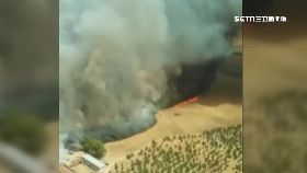 K西班牙野火2400