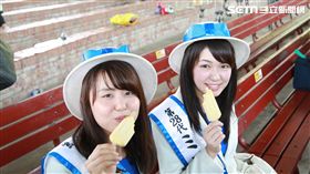 台南芒果大收　賴清德揪品嚐夏日紅寶石(圖／南市府)
