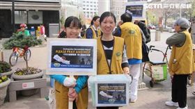 2歲女童摔進熱粥裡　左耳只剩耳垂黏著…（圖／慈濟基金會提供）