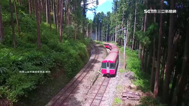 阿里山森鐵新秘境　「對高岳站」曝光